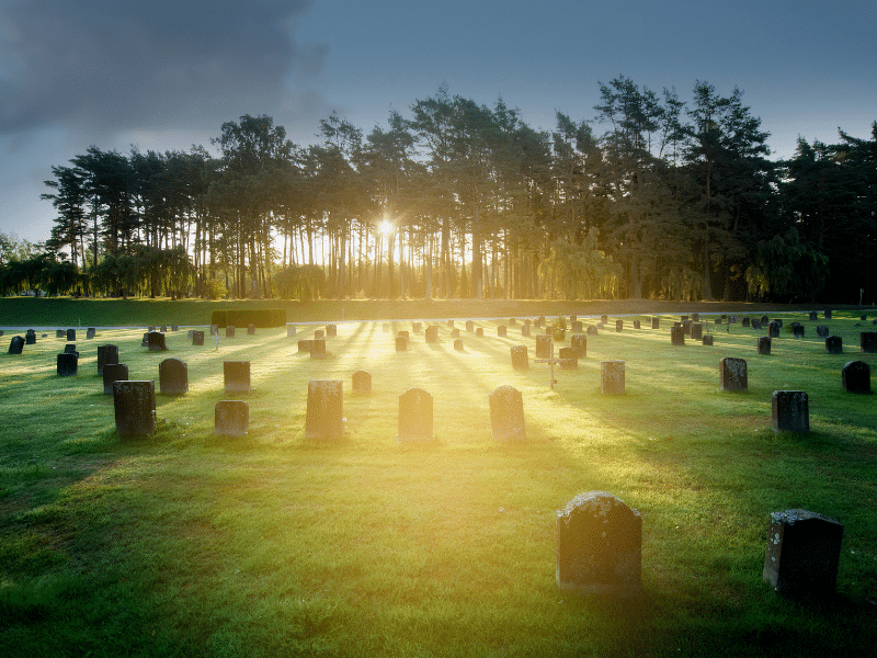 Nature Inspired Headstone Designs